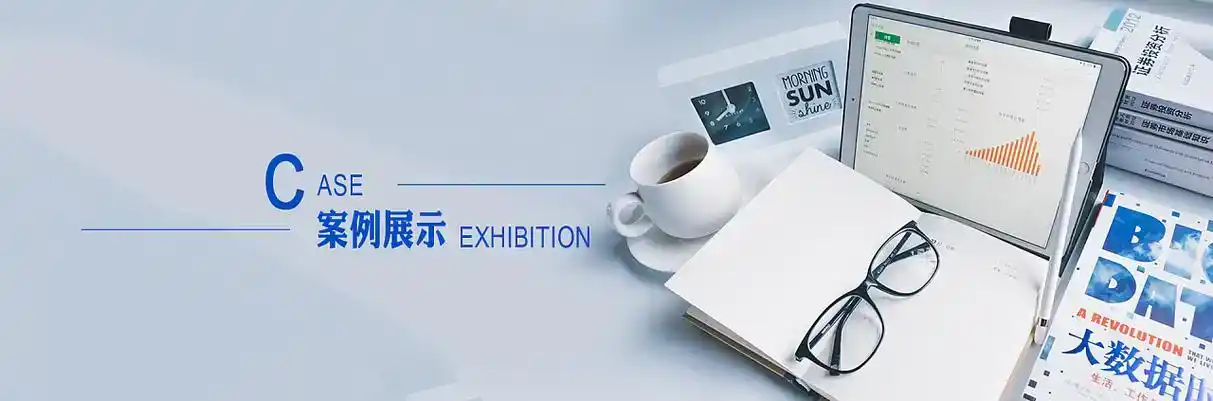 崇明县软件开发